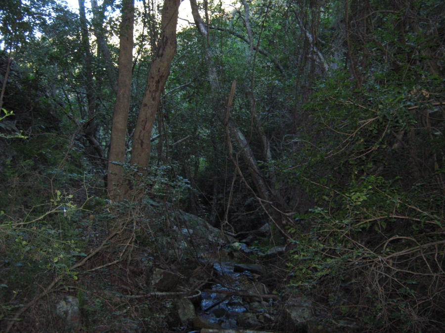 3 Bedroom Property for Sale in Joubertina Eastern Cape